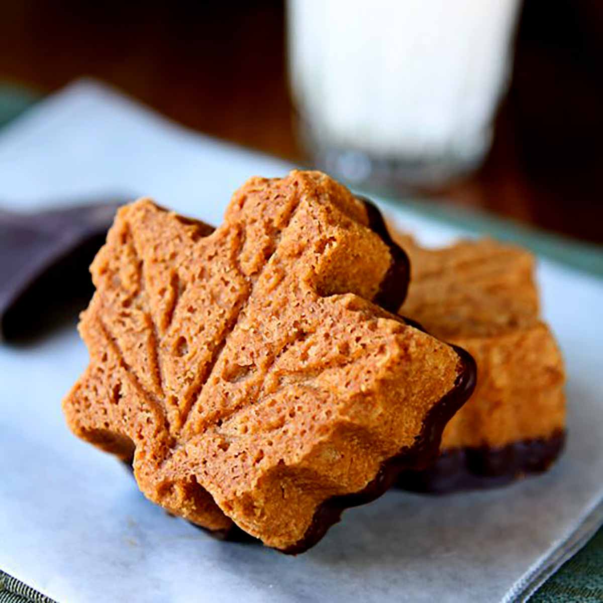 Two maple shortbread cookies on a piece of wax paper