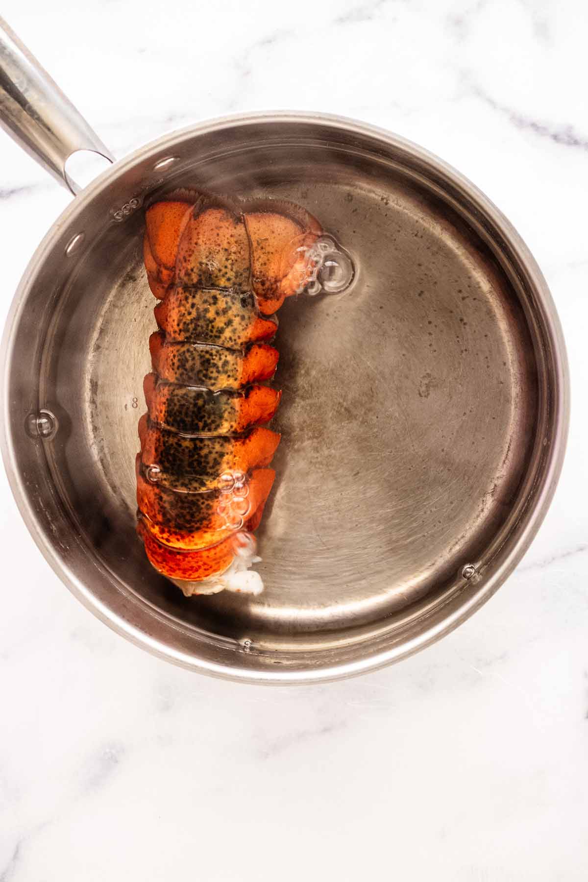 Lobster tail in boiling water in a medium stainless steel saucepan.