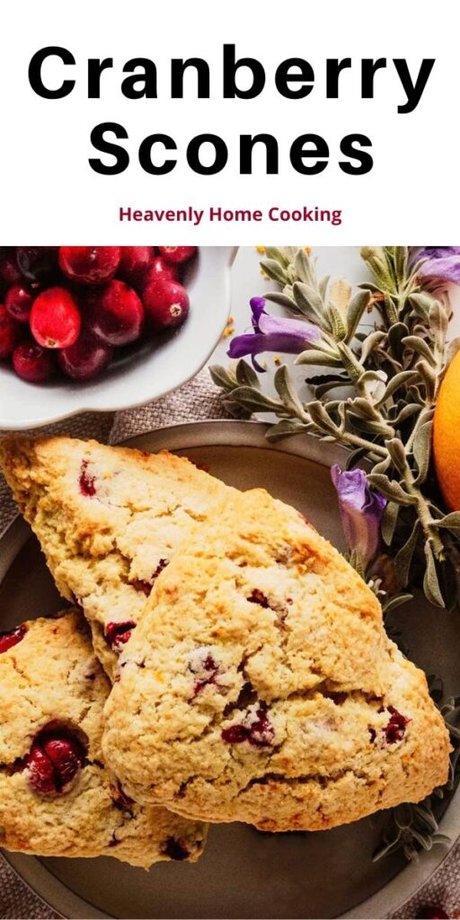 Three orange cranberry scones on a light grey plate with flowers and a bowl of fresh cranberries.
