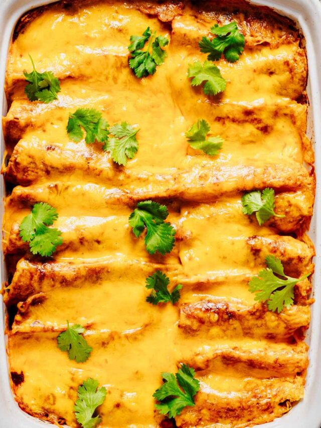 Baked beef and bean enchiladas in a white dish, topped with melted cheddar cheese and fresh cilantro garnish.