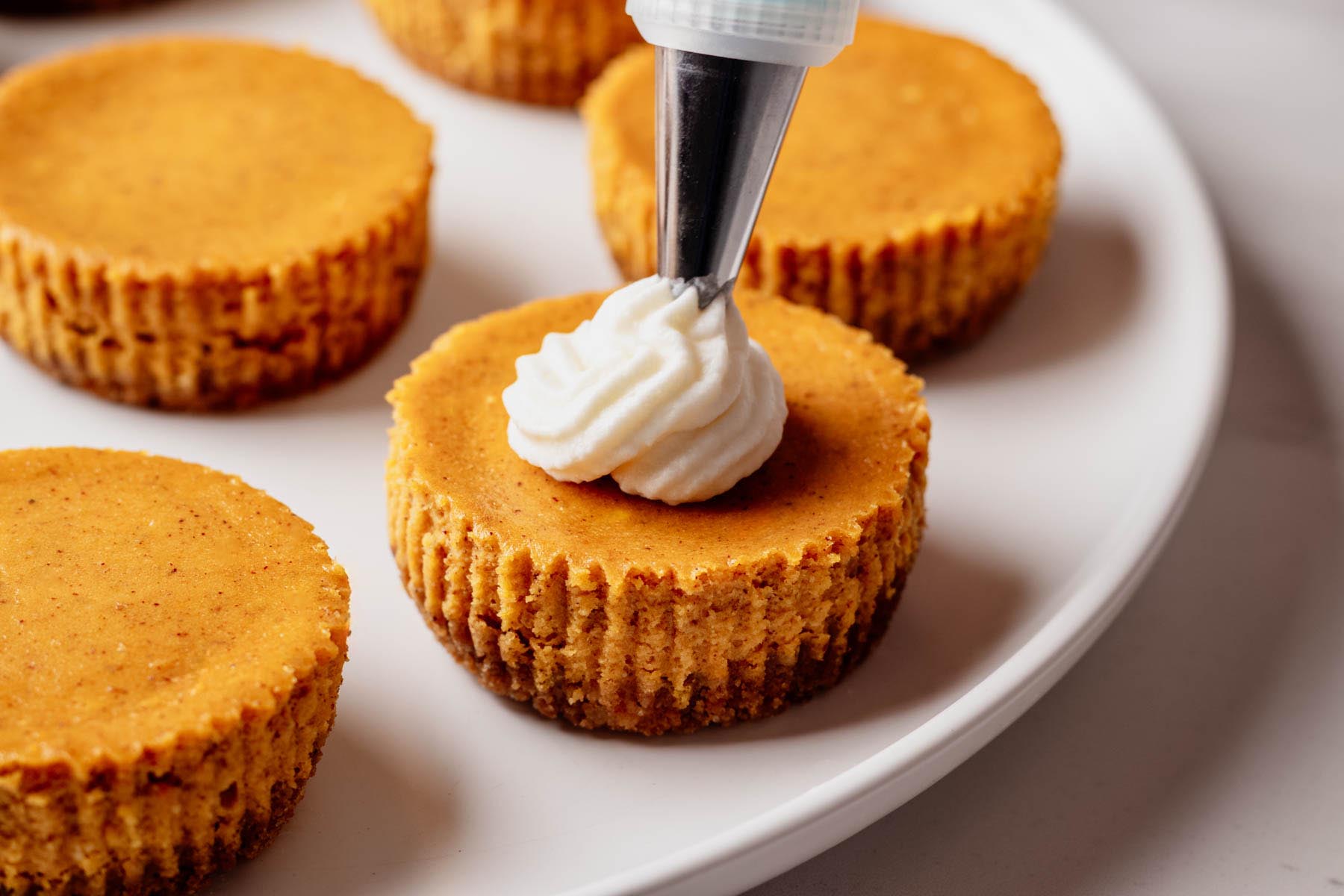 Whipped cream being piped onto a mini pumpkin cheesecake.