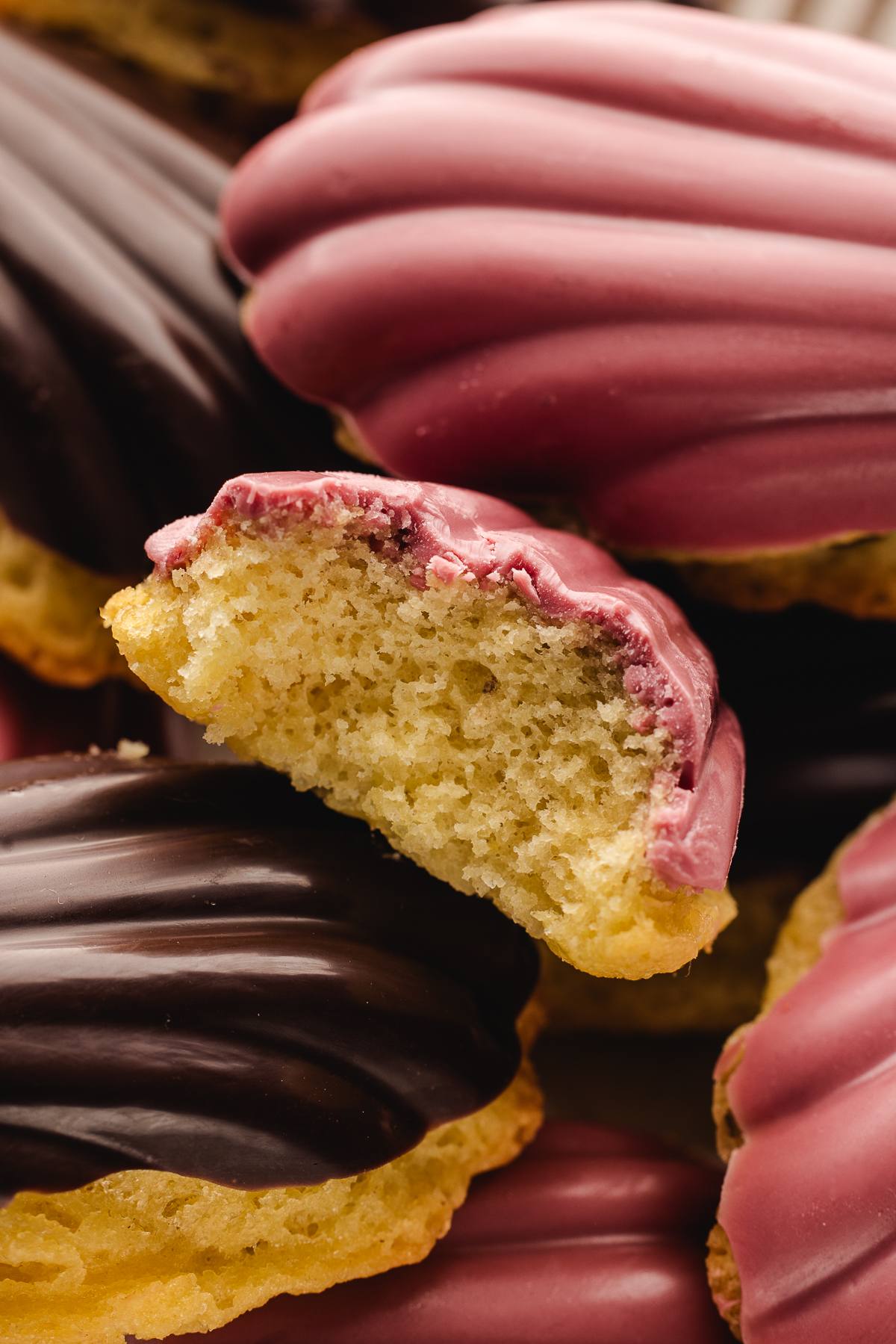 Close-up of a chocolate-dipped madeleine with a bite taken, showing a soft, airy crumb and a glossy ruby-chocolate shell.